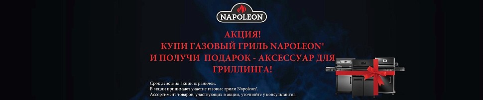 Газовые грили Napoleon в Нижнем Новгороде