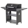 Family Standart BBQ FSB 2000